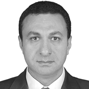 Ayman H. Elkady